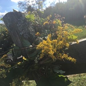 Meet your Posher, Kelsey